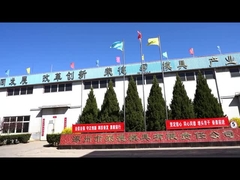 প্লাস্টিক ইনজেকশন ছাঁচনির্মাণ অংশ